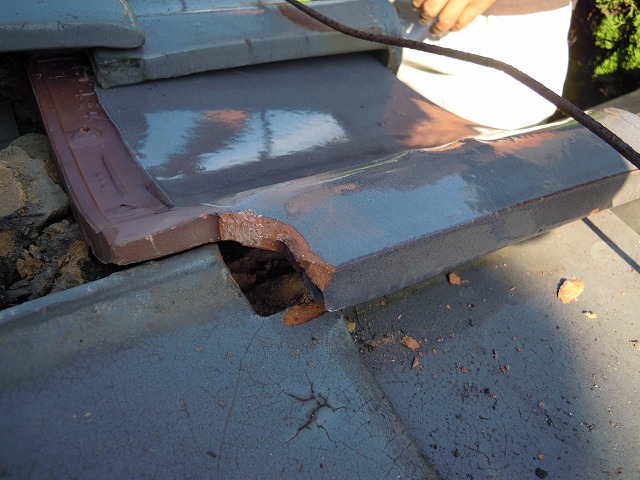 台風被害を受けた瓦